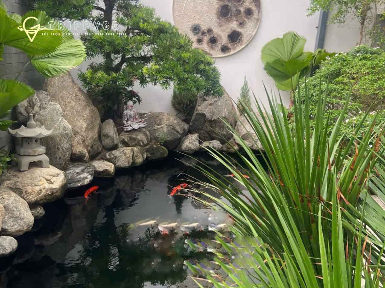 zen-villa